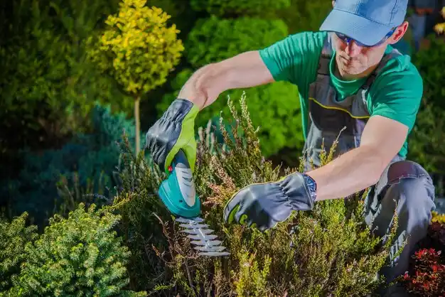 landscaping services Niangua